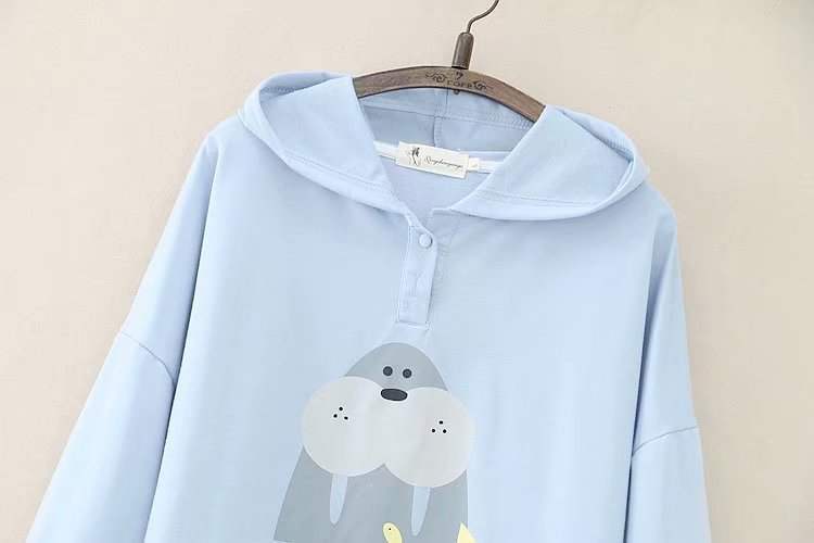 Hooded Sweater Coat Women's Long Sleeve Pullover Hoodie Loose