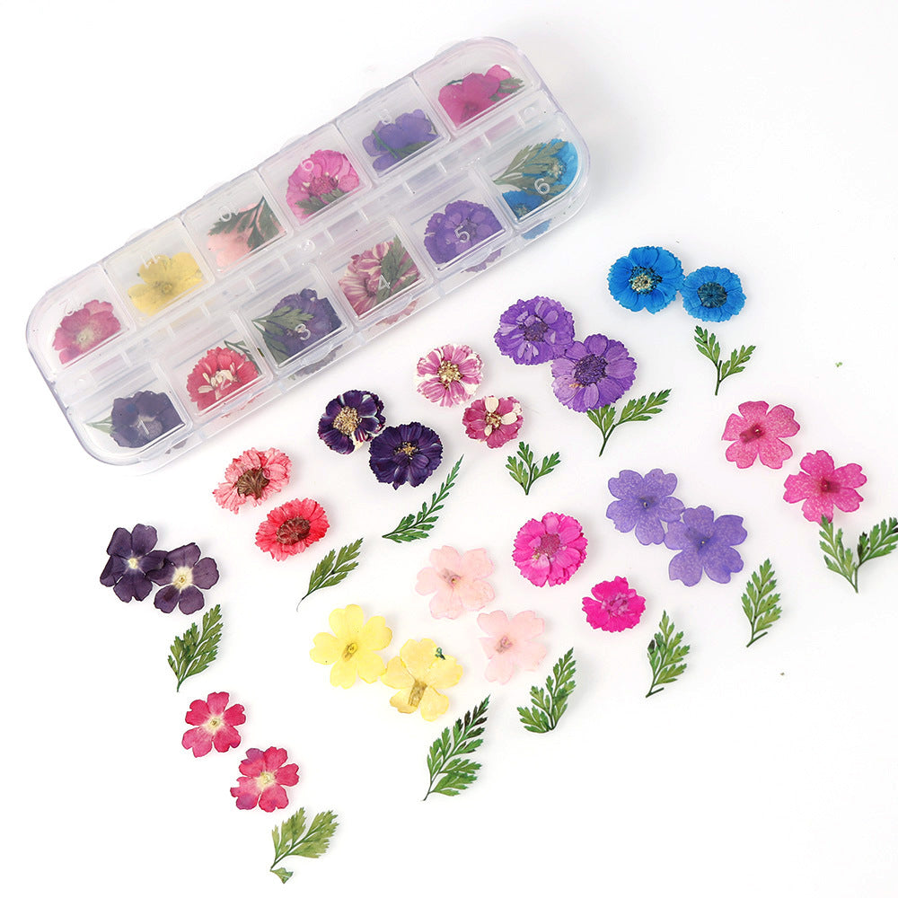 12 Boxes of Nail Dry Flower Accessories