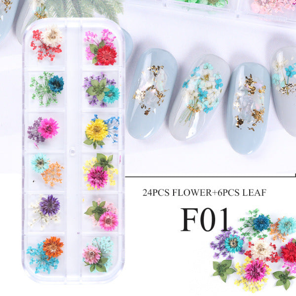 Nail Art Dry Flower 12 Grid Boxed Colorful Daisy Gypsophila Real Flower Nail Jewelry