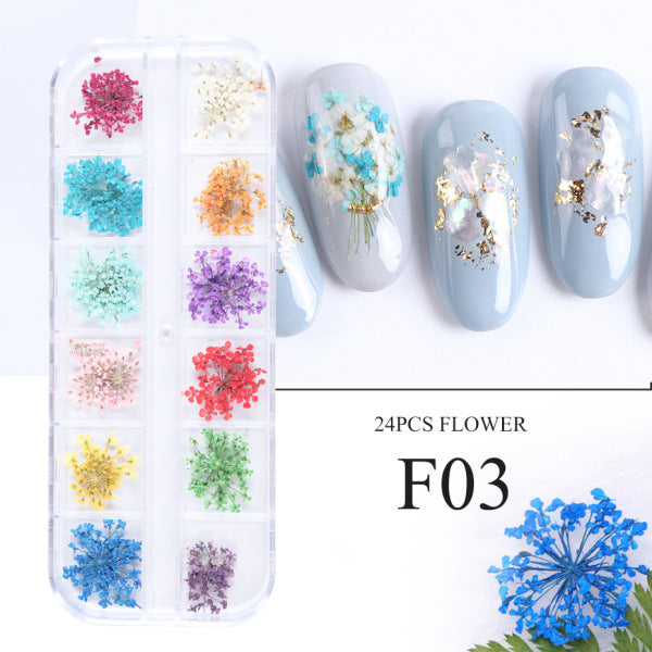 Nail Art Dry Flower 12 Grid Boxed Colorful Daisy Gypsophila Real Flower Nail Jewelry