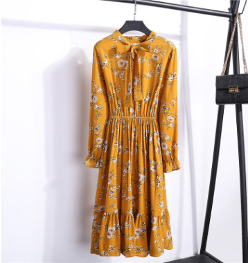 Floral Chiffon Dress for Women