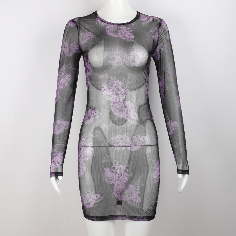 Women's Autumn Winter Sexy Slim-fit Printed See-through Voile Dress