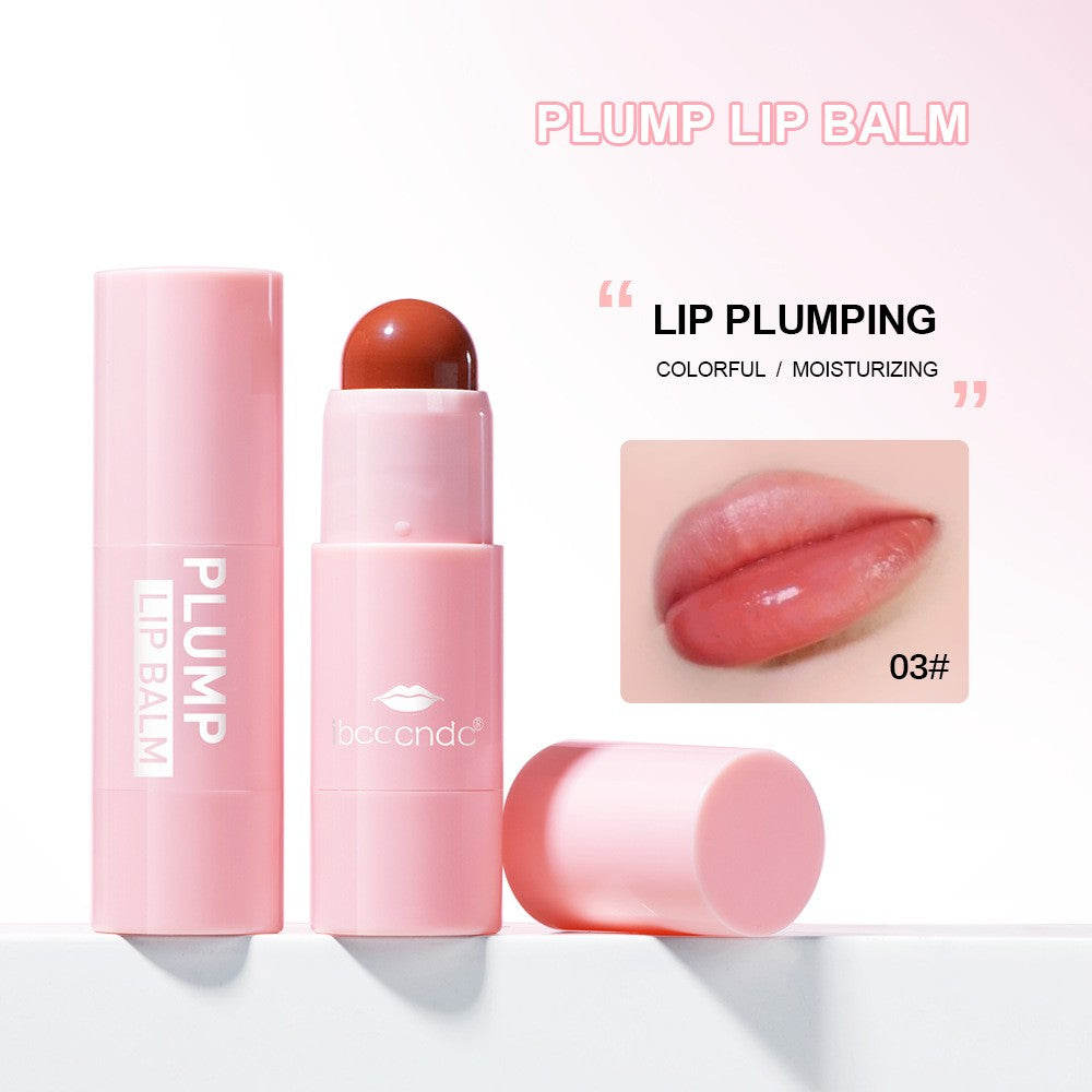 Women's Velvet Matte Lip Gloss